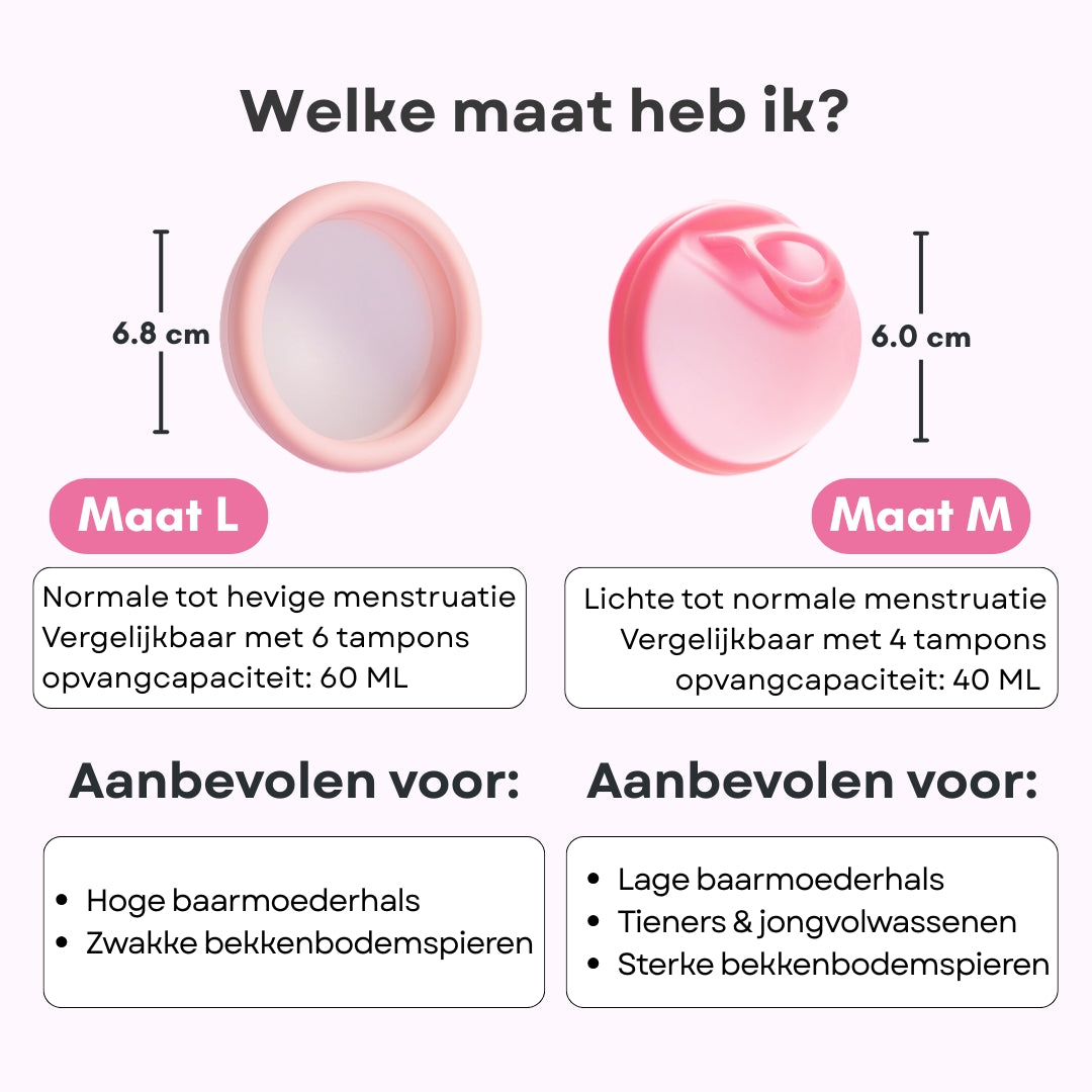 Menstruationsscheibe