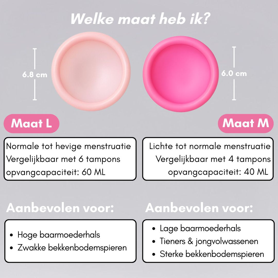 Menstruationsscheibe