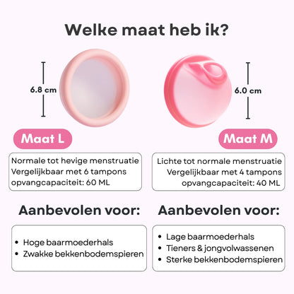 Menstruationsscheibe
