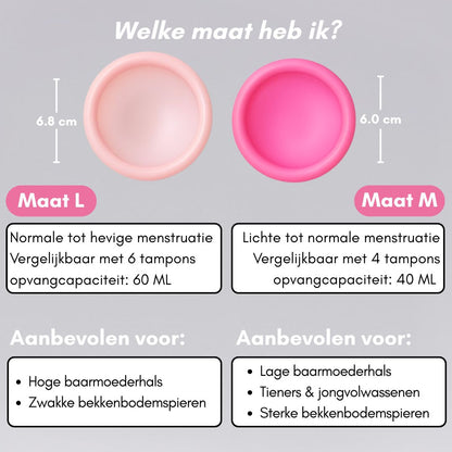 Menstruationsscheibe